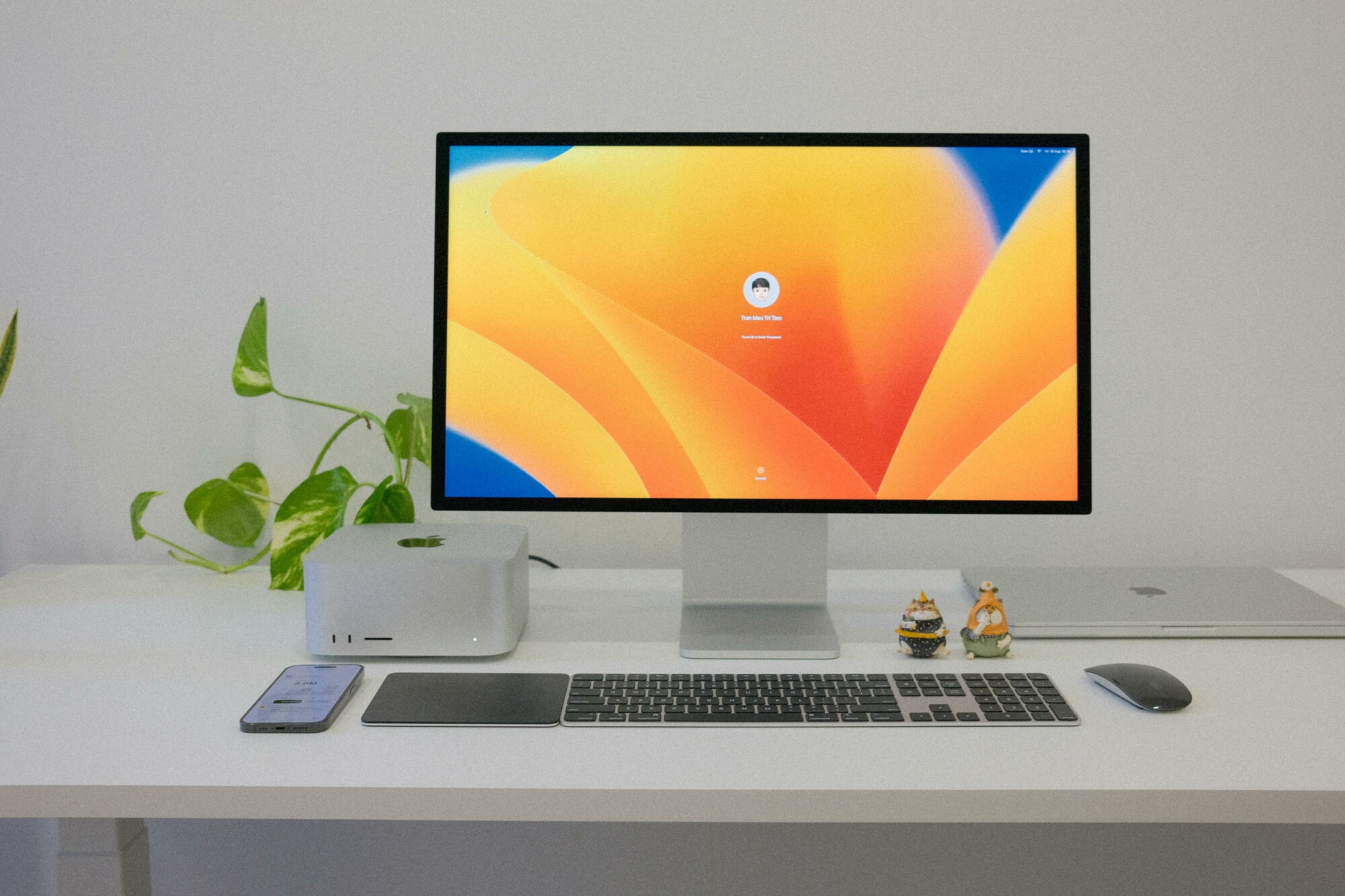 apple monitor